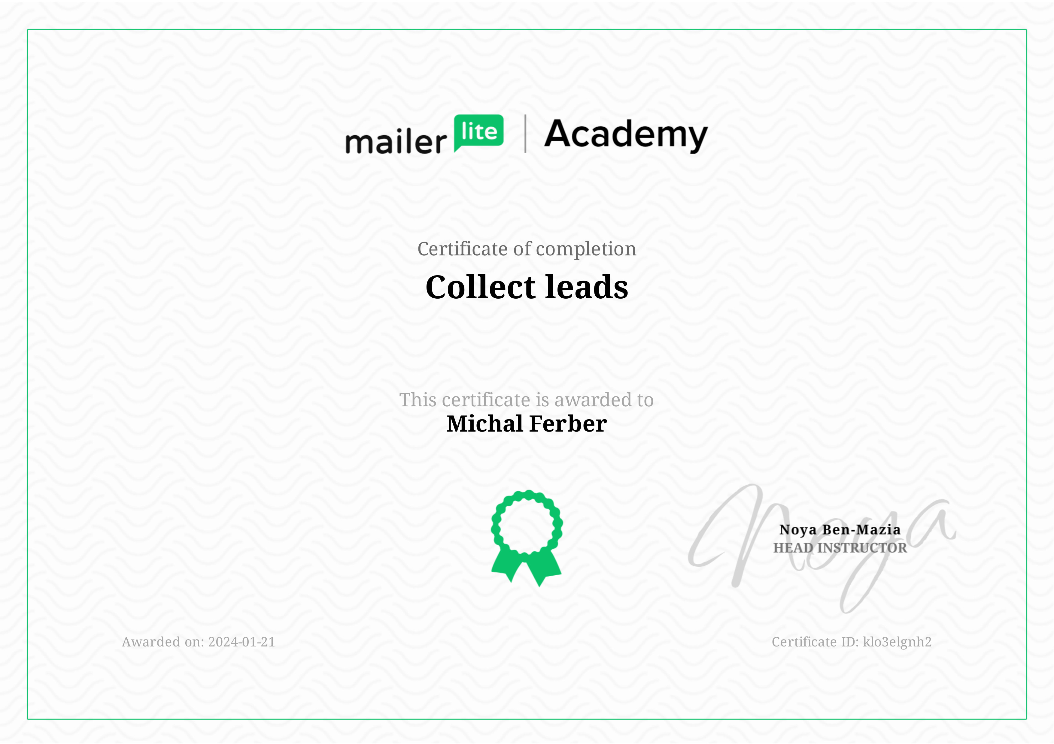 MailerLite Collect leads